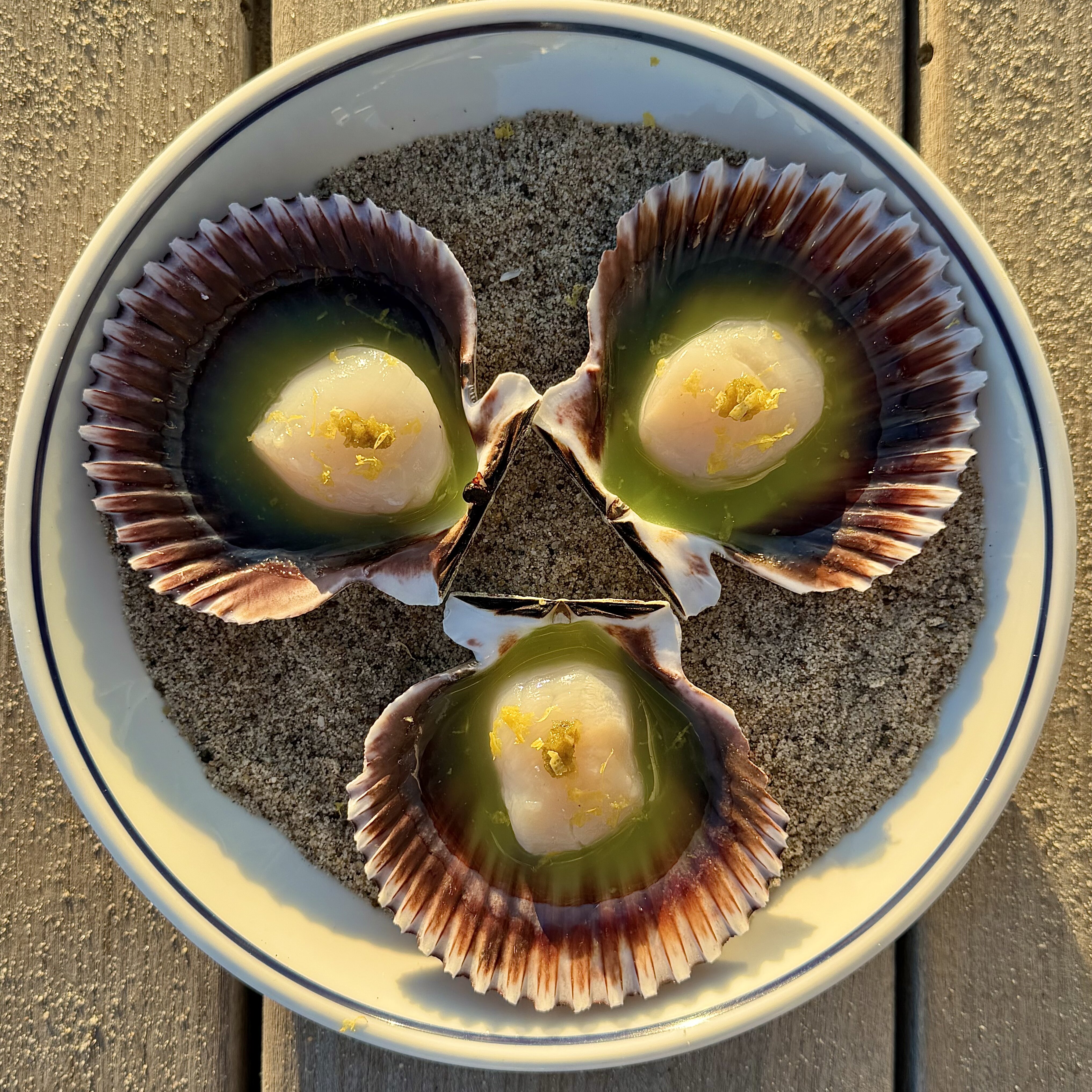 scallop